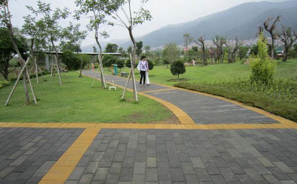 園林廣場(chǎng)鋪裝實(shí)景圖
