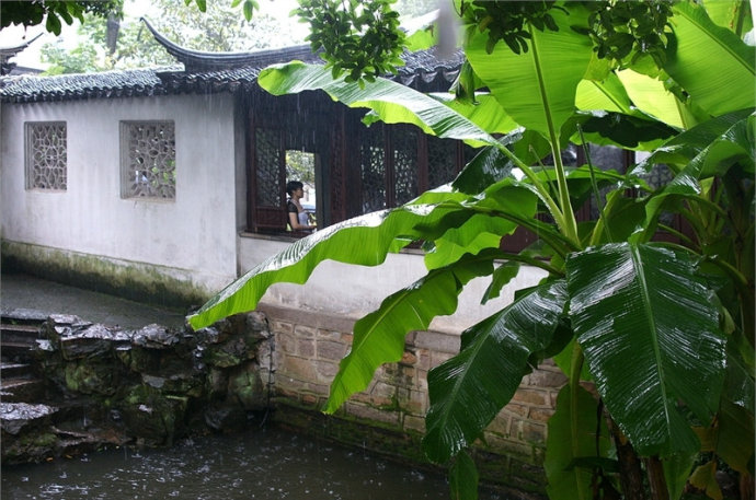 景觀(guān)設計之城市水濱景觀(guān)植物造景手法
