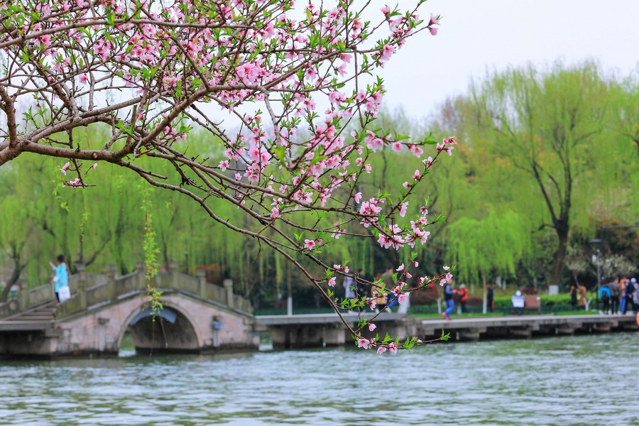 園林景觀(guān)設計之鄉土植物與地方特色園林景觀(guān)